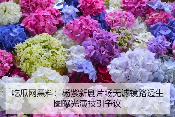 吃瓜网黑料：杨紫新剧片场无滤镜路透生图曝光演技引争议
